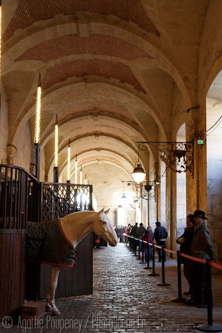 Visite libre des écuries royales