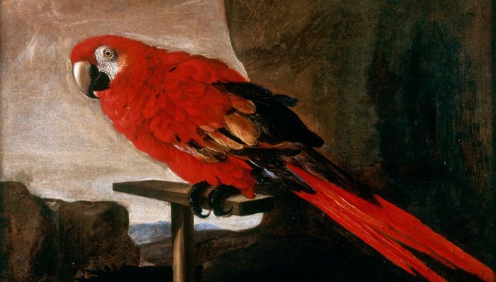 Eveil à l'art : Le voyage de Lazlo