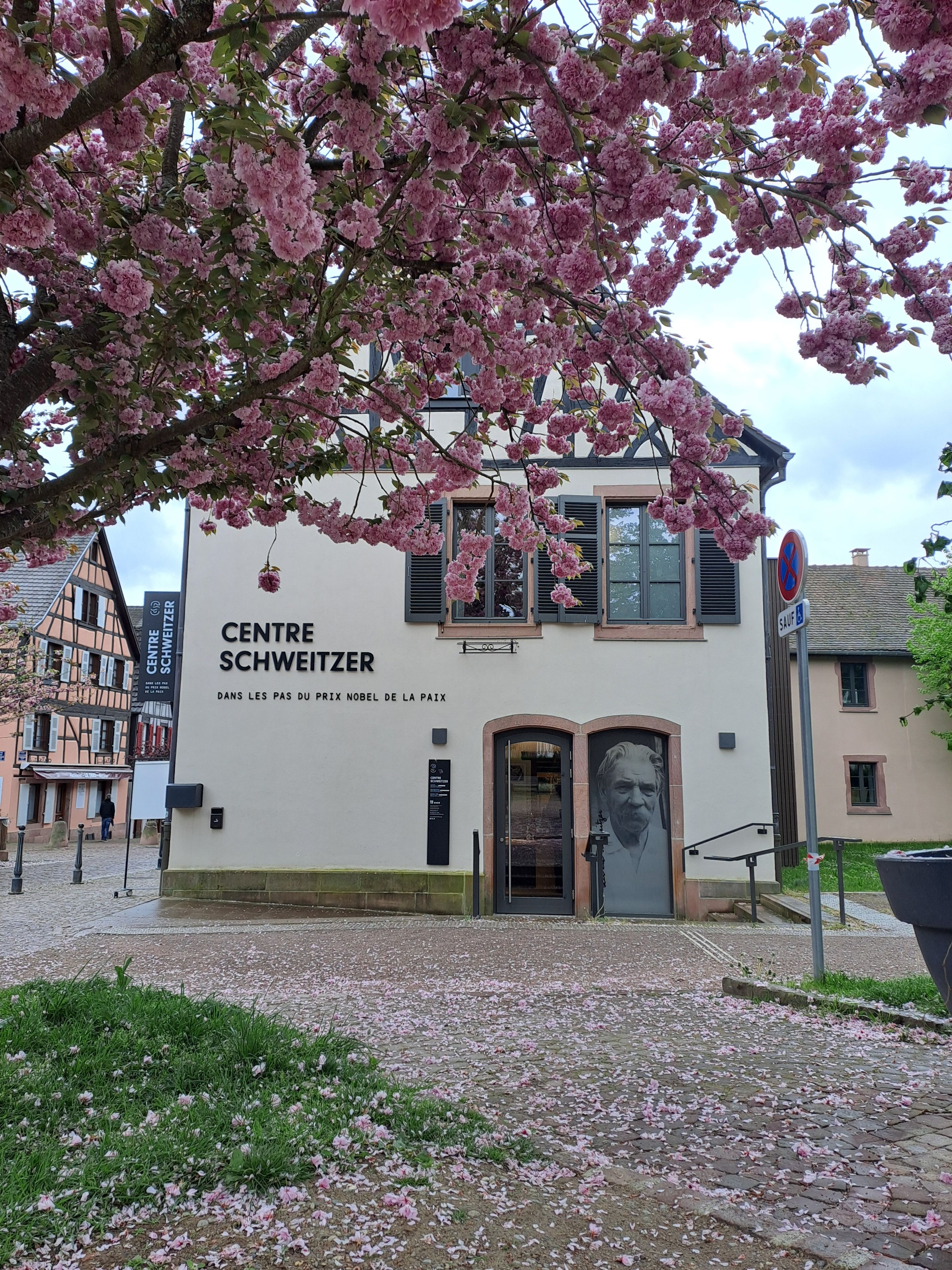 Centre Schweitzer