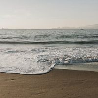 Sortie Nature - Petite pêche et nouveaux arrivants