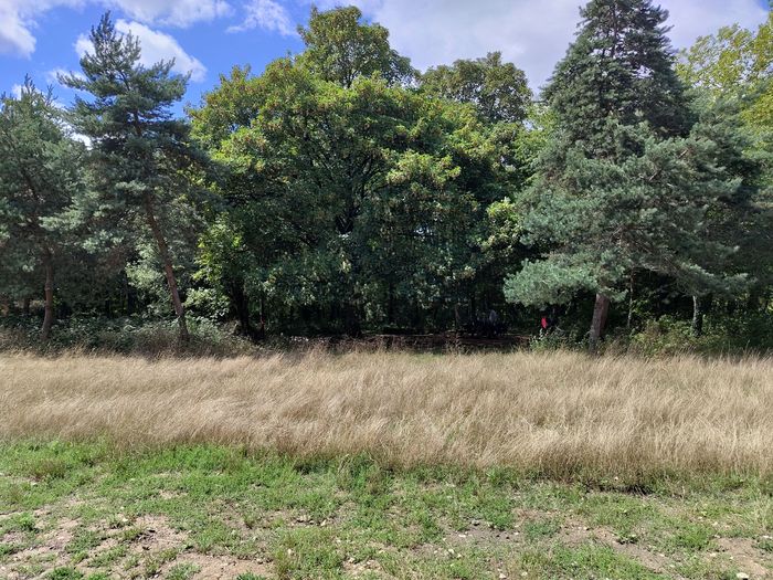 Parcours bien-être Bois de Vincennes - Respiration - Méditation - Sophrologie -Difficulté 2