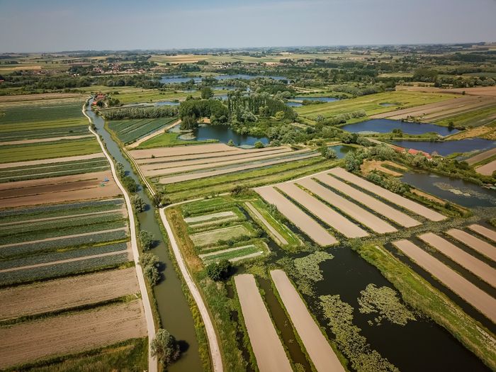 La route du marais maraicher : visite guidée du marais Audomarois en bateau