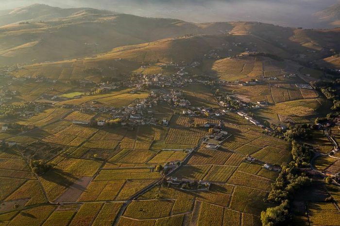 A la découverte des vins du Beaujolais