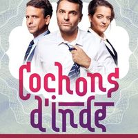 Théâtre - Cochons d'inde