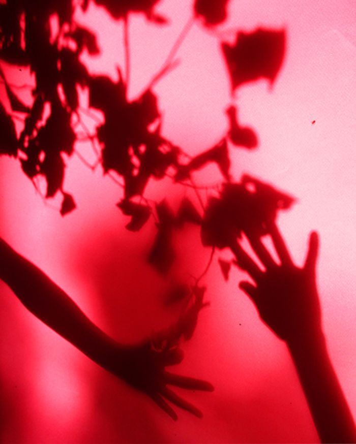 En un clin d'œil autour de l'exposition Réinventer la photographie #1