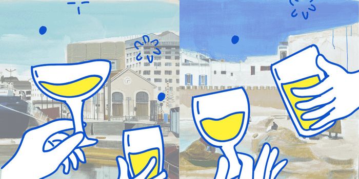 Inauguration de l’exposition « D’Ici et d’Ailleurs : de Bordeaux à Marrakech »