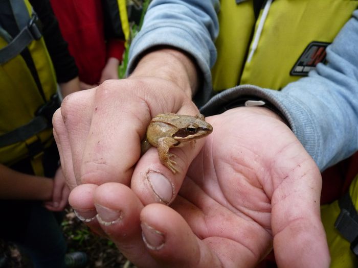 Classe verte en faveur de la biodiversité - Biodivers'été