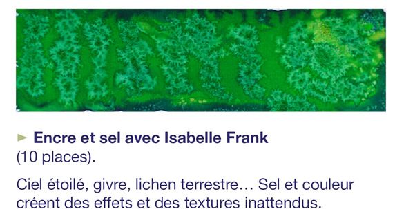 Atelier de pratiques artistiques : Encre et sel