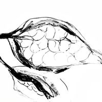 L'encre et le geste