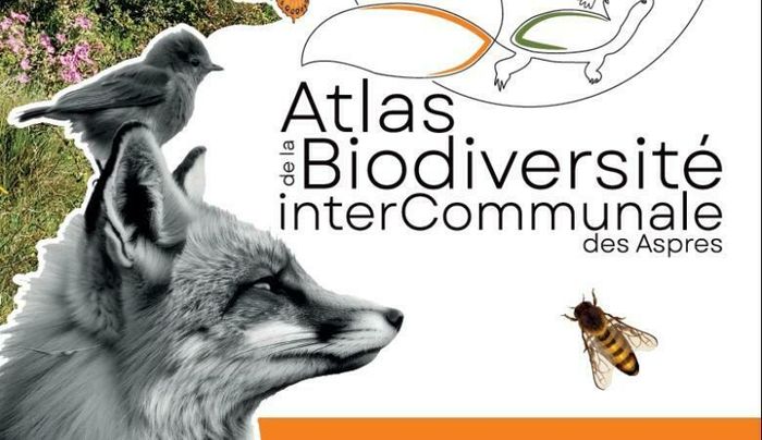 Initiation aux inventaires biodiversité