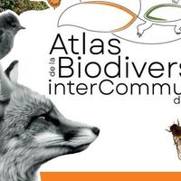 Initiation aux inventaires biodiversité