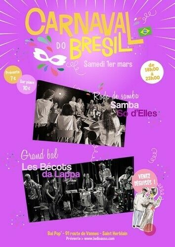 Carnaval do Brésil