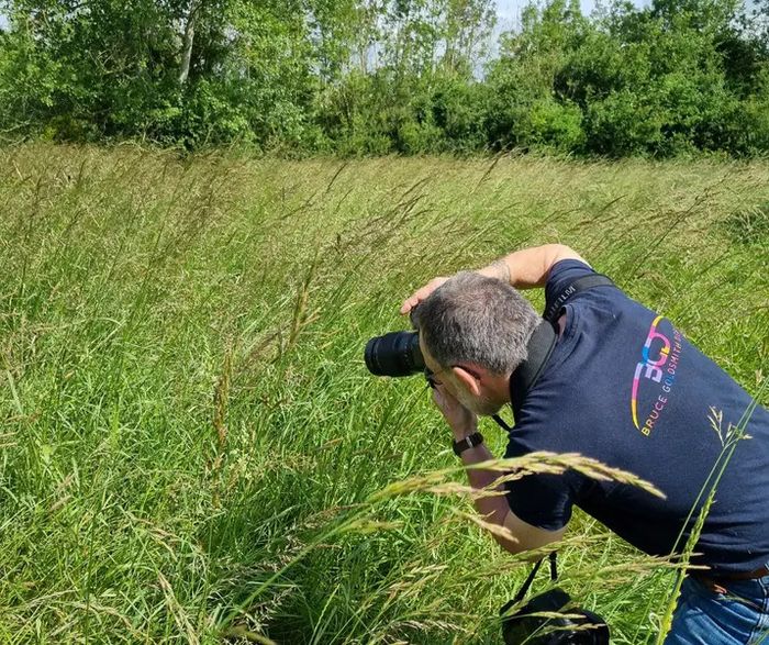 Initiation à la photo animalière dans une réserve naturelle