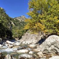 Randonnée guidée- immersion au cœur du Parc naturel régional du Haut‑Languedoc, au pied des Gorges d’Héric et du massif du Caroux.
