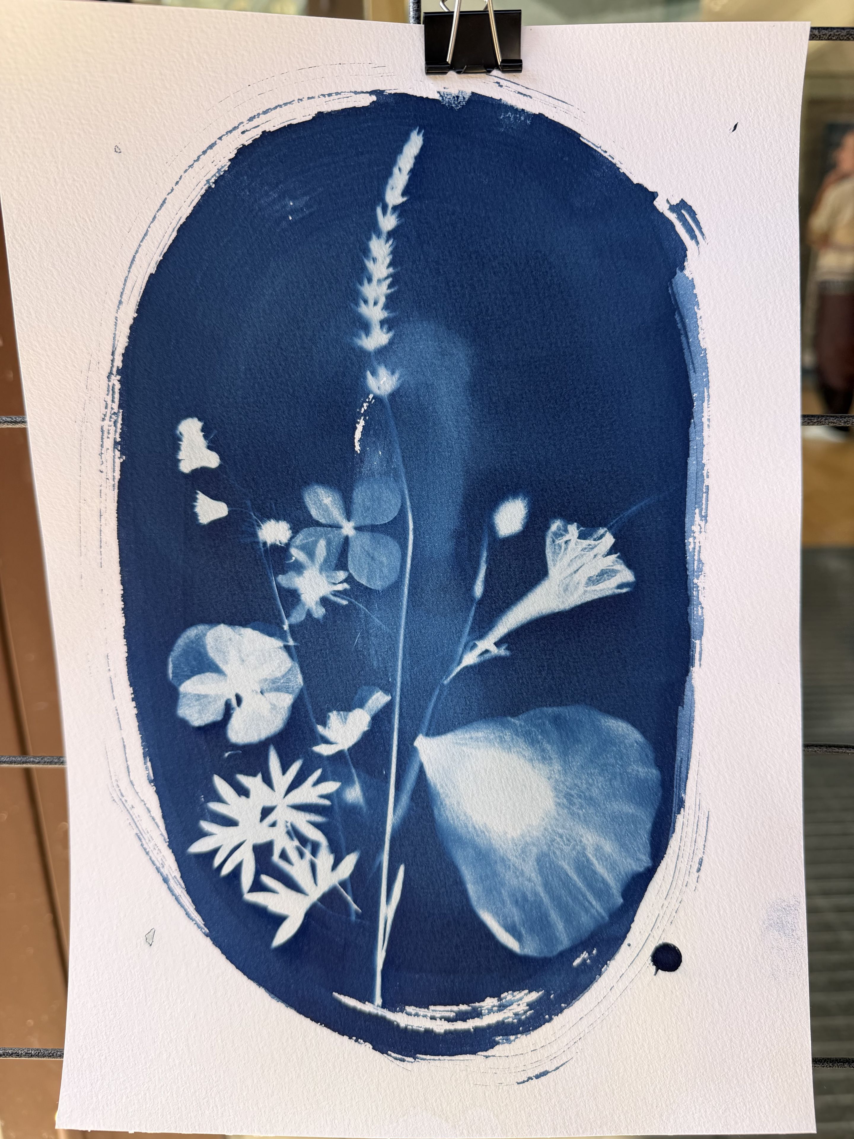 Le patrimoine vivant en cyanotype