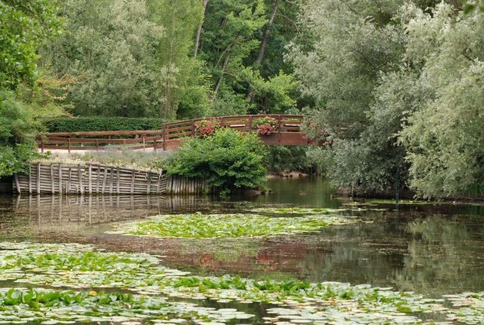 Promenez-vous dans le patrimoine naturel du parc Pierre Pitois
