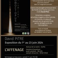 Exposition " Homoctopus en Lumière"