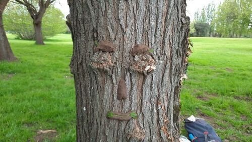 Balade nature sensorielle et sensible au bord de l’Erdre