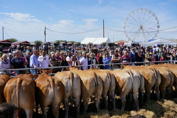 Foire aux beaux vins