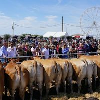 Foire aux beaux vins