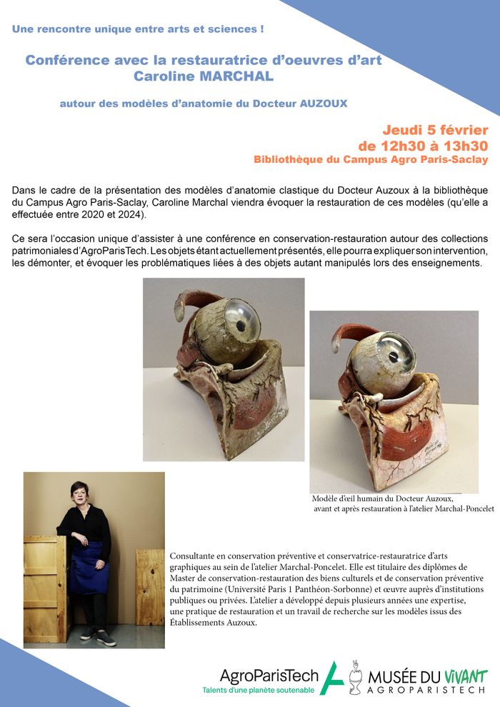 Conférence en conservation-restauration autour des collections patrimoniales d’AgroParisTech et en particulier des modèles d'anatomie du Docteur Auzoux (en papier mâché). (Bibliothèque, 05.02.2026)