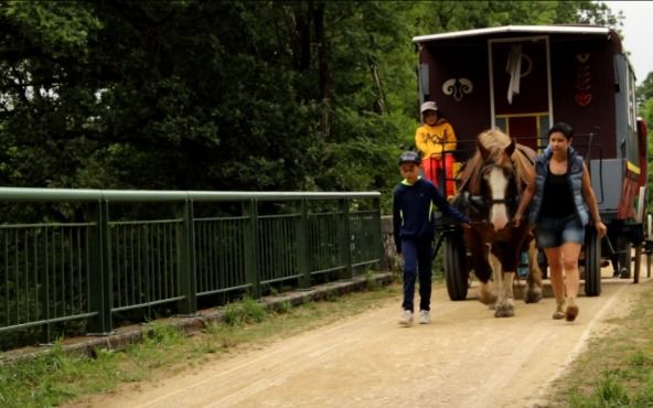 C'est quoi ce cirque ?! (Camp d'été en breton, 6-10 ans) ANNULÉ