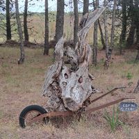 Trésors cachés de Rustiques : à la découverte du patrimoine insolite !