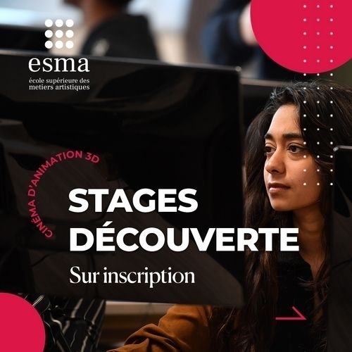 Stage découverte Animation 3D et effets spéciaux - ESMA