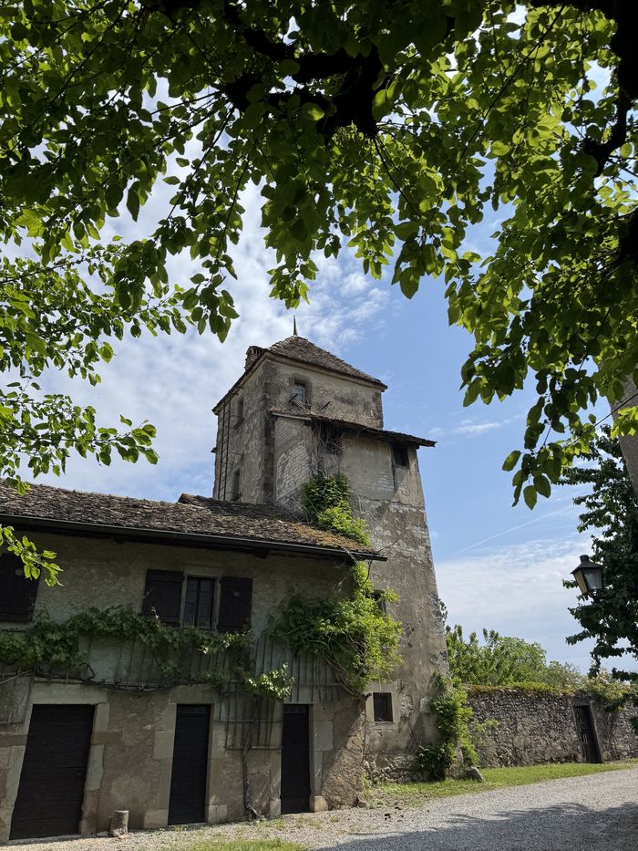 Guided tours of the former priory of the Château de Ripaille