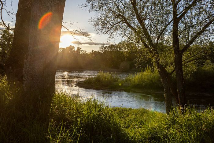 A la découverte des animaux du bord de Loire !