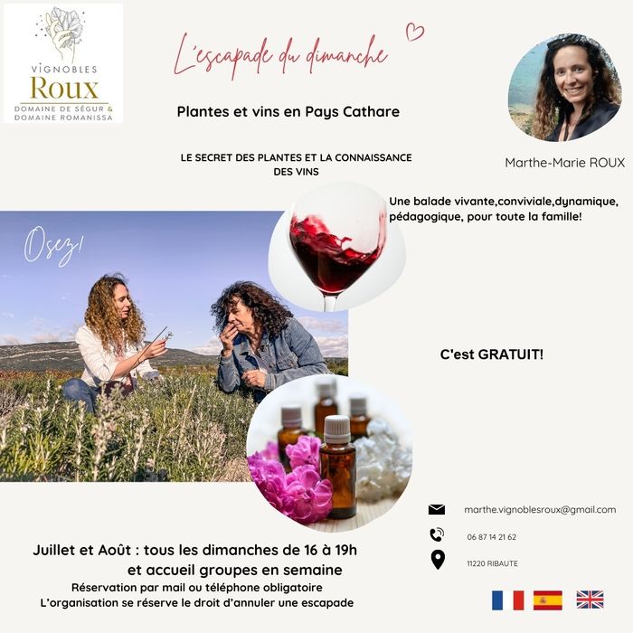 Escapade dans les vignes: les secrets des plantes et la connaissance du vin