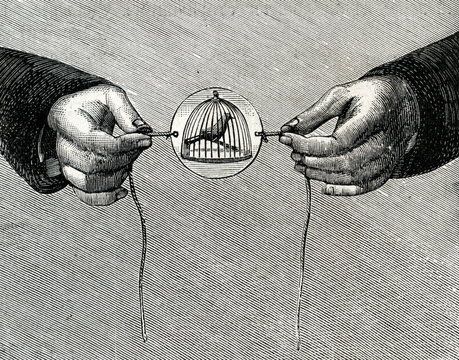 Atelier d'initiation aux techniques du cinéma