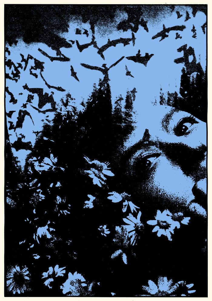 Le Beau Label I Howlin’ Banana