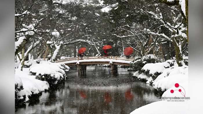 Printemps, été, automne, hiver — la poésie des jardins japonais en images