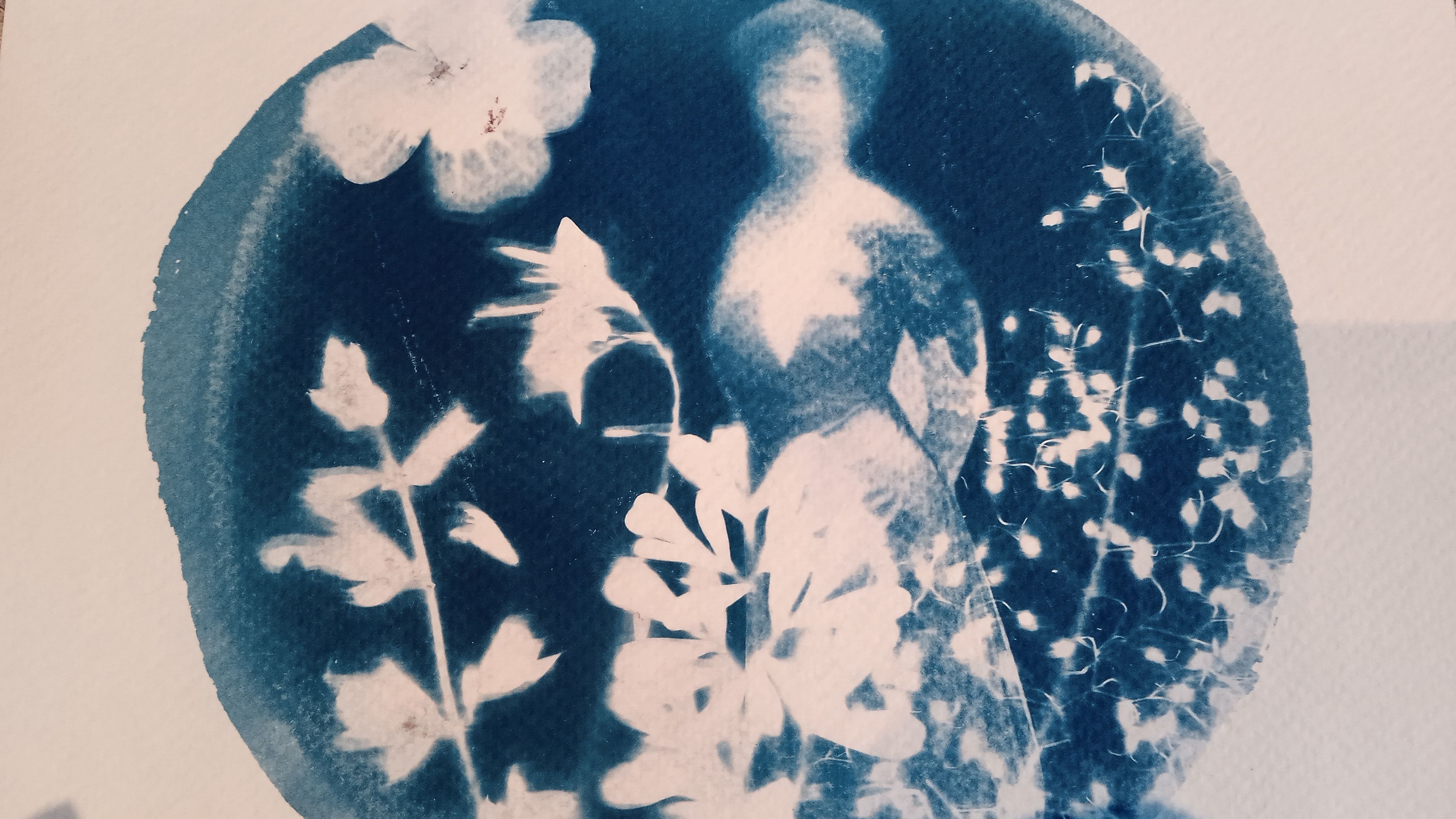 Atelier « La petite fabrique à cyanotypes »