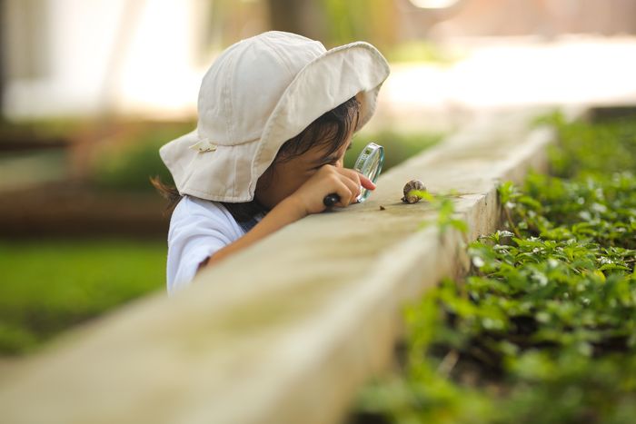 Le jardin dans tous les sens
