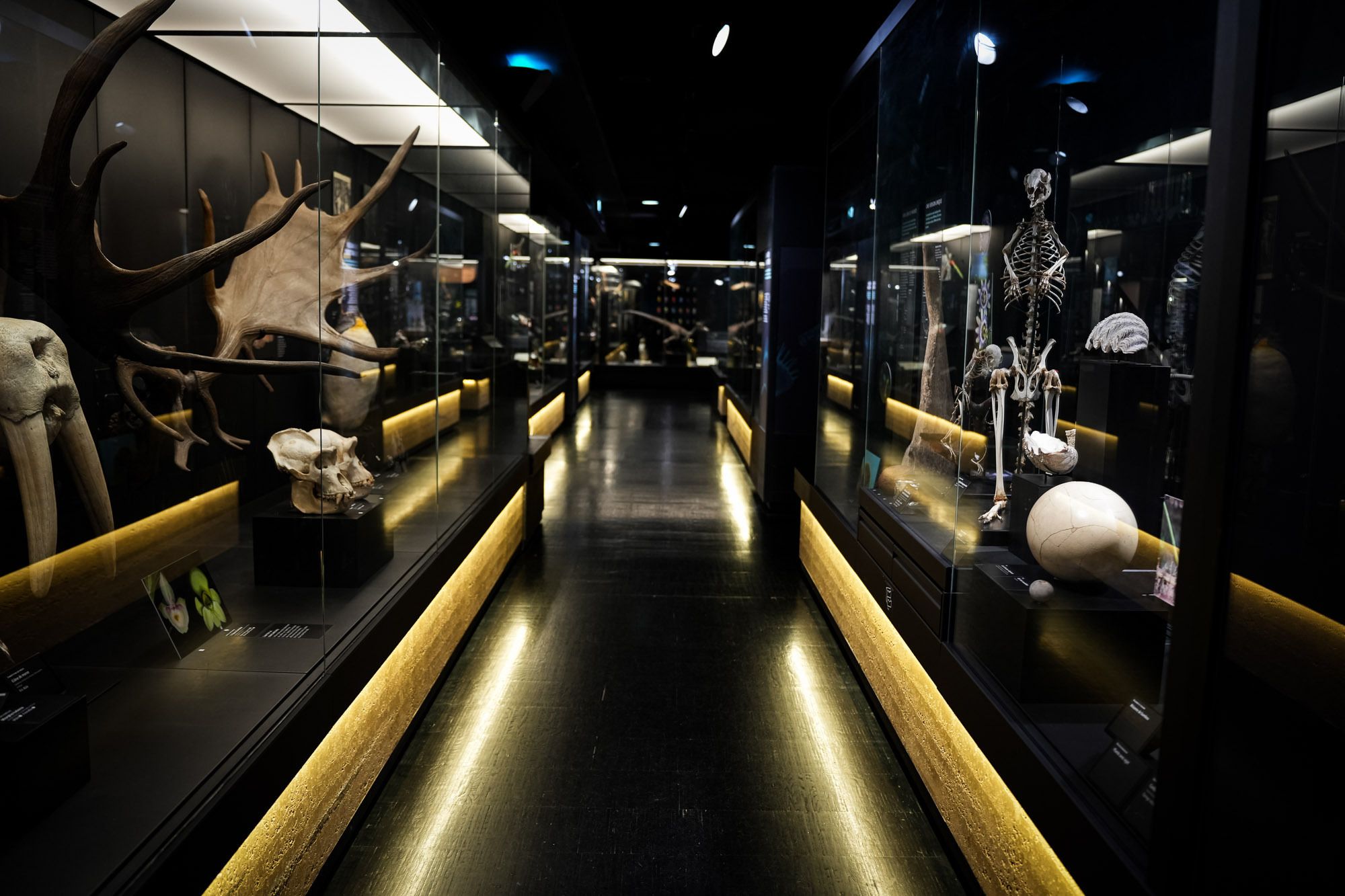 Visite gratuite du parcours