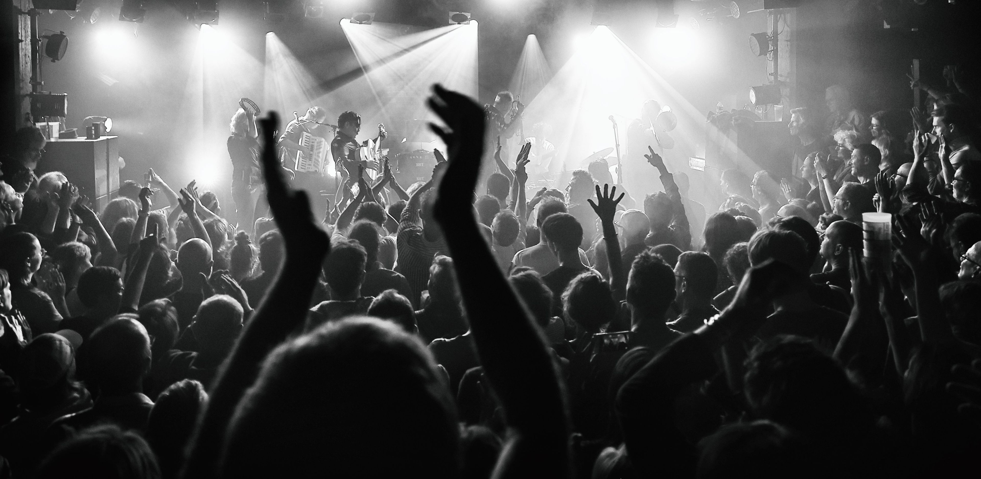 LES NEGRESSES VERTES