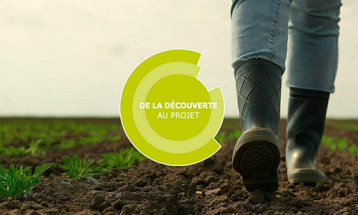 Découverte des métiers agricoles - Maine-et-Loire (49)