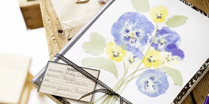 Atelier Tataki Zome, empreintes végétales