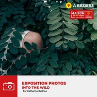 Expo "Into the wild" par Catherine Guilhou