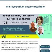 Mini-symposium on gene regulation