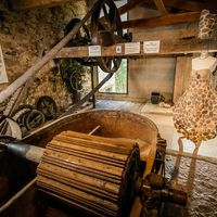 Visite et atelier fabrication de papier