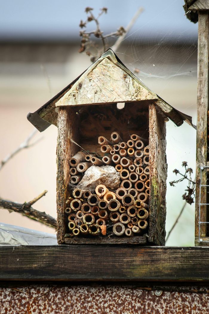 Atelier fabrication d'hôtel à insectes portatif, spécial Osmie !