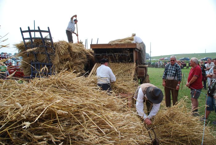 Fête des Moissons