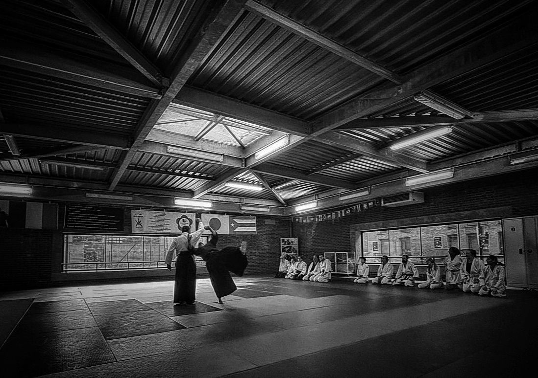 Cours d'Aikido adultes/ados, les mardis de 19 à 21h, salle Bernard Jeu à Roubaix