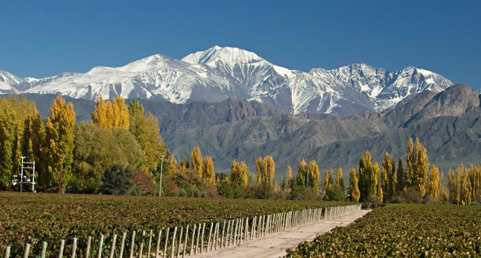 Afterwork dégustation : Vins d’altitude : Argentine, Suisse et Liban