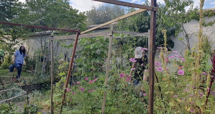 Atelier jardinage et Fête de fin de saison avec l'association culture(s) en herbe(s)