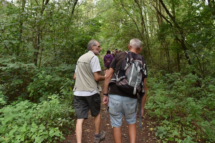 Sur les Pas des Pèlerins : le Chemin de Compostelle à travers Carvin.
