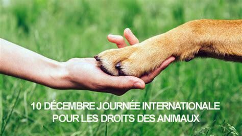 Droit des animaux : une sensibilisation